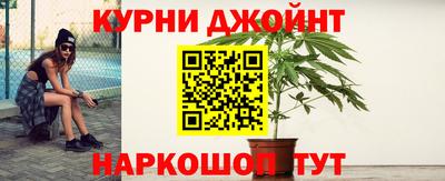 прущие грибы Аргун