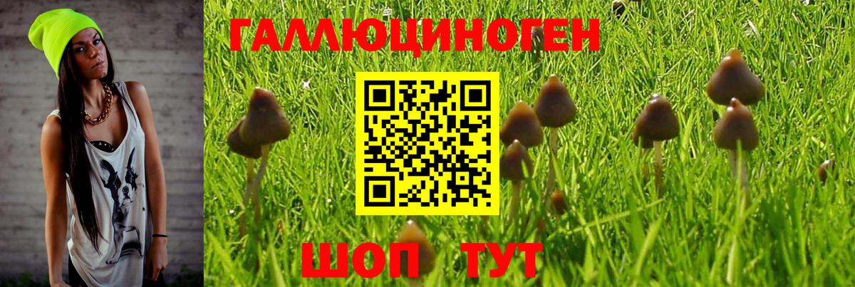 Псилоцибиновые грибы MAGIC MUSHROOMS  купить закладку  Псилоцибиновые грибы ЛСД  Артём 