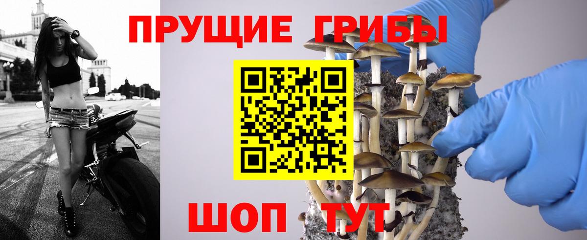 Псилоцибиновые грибы GOLDEN TEACHER Артём