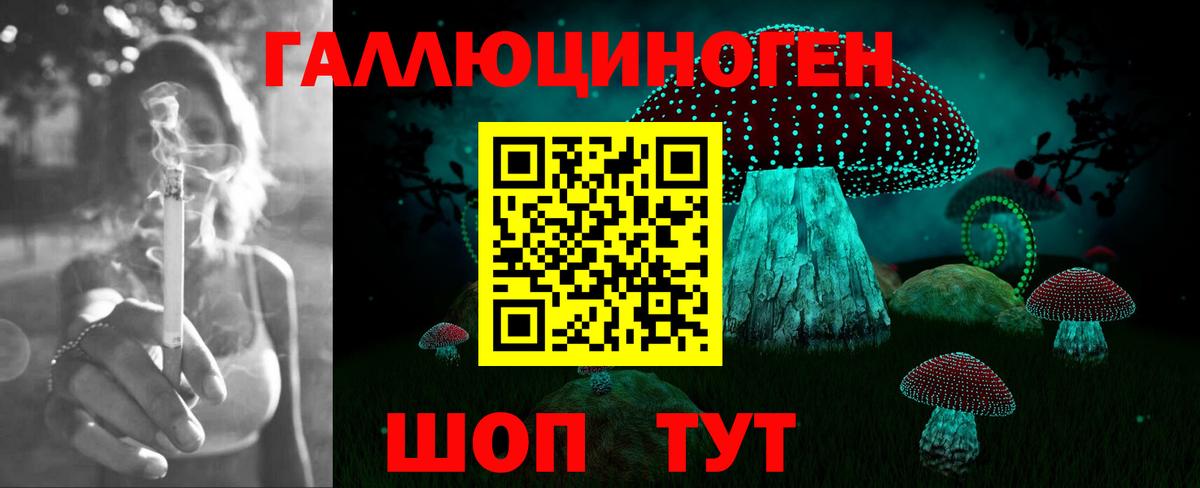 Галлюциногенные грибы Cubensis Артём